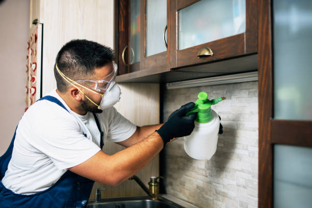 Best Exterminator Services  in Lahoma City, OK