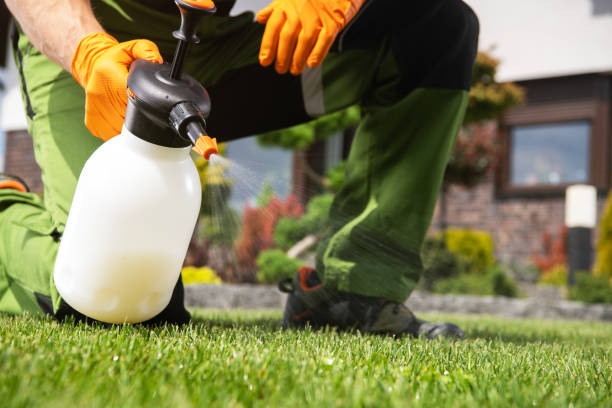 Best Pest Removal Services  in Lahoma City, OK