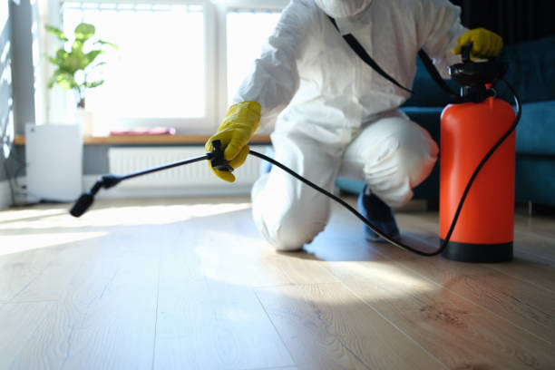 Professional Pest Control in Oklahoma City, OK