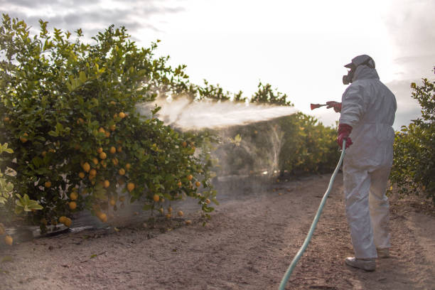 Best Affordable Pest Control Services  in Lahoma City, OK