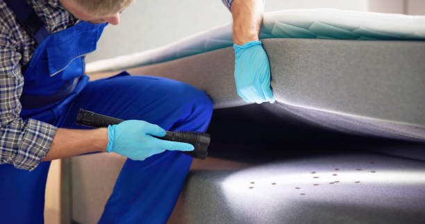 Best Pest Removal Services  in Lahoma City, OK