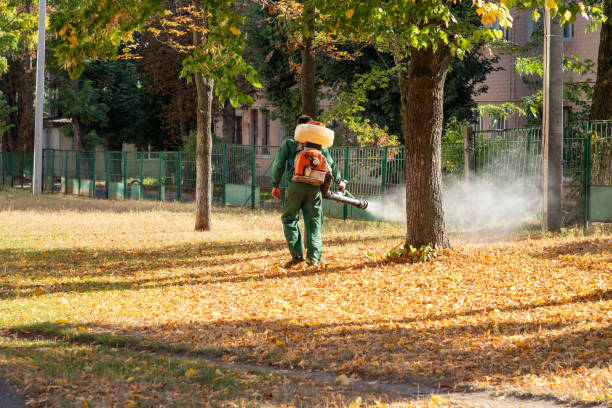  Lahoma City, OK Pest Control Pros