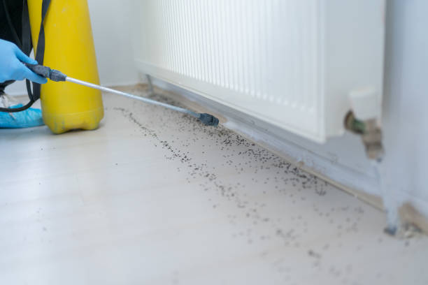 Best Wildlife Control Services  in Lahoma City, OK