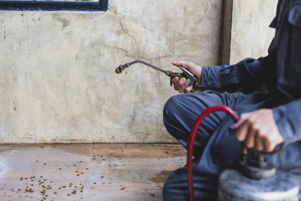 Best Pest Inspection Near Me  in Lahoma City, OK